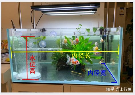 計算魚缸水量|鱼缸通用计算器